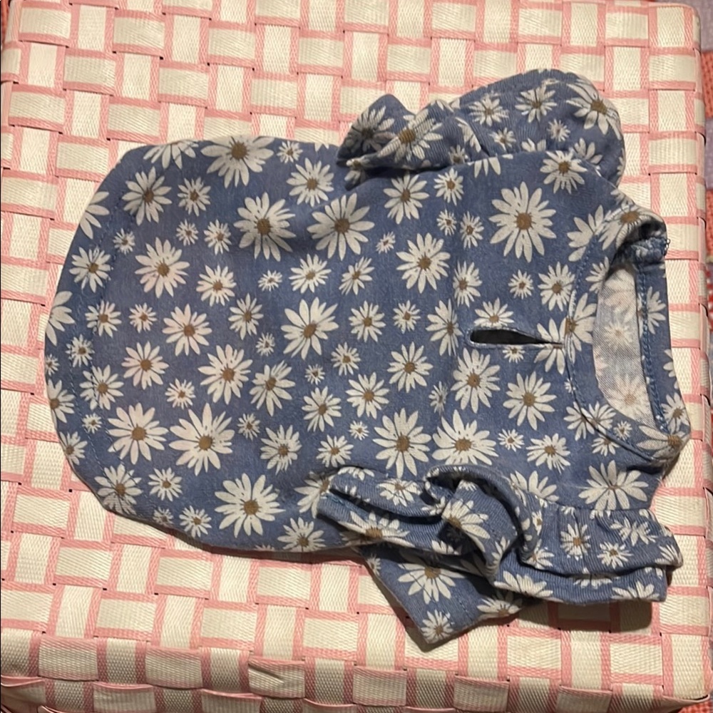 ❤️🥳💰Floral Blue Dog Dress